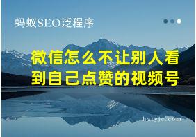 微信怎么不让别人看到自己点赞的视频号