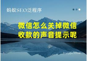 微信怎么关掉微信收款的声音提示呢