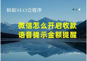 微信怎么开启收款语音提示金额提醒