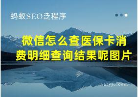 微信怎么查医保卡消费明细查询结果呢图片