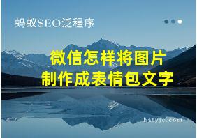 微信怎样将图片制作成表情包文字