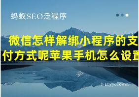 微信怎样解绑小程序的支付方式呢苹果手机怎么设置