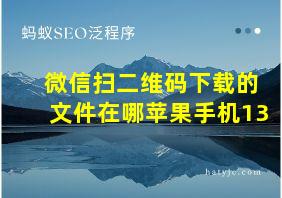 微信扫二维码下载的文件在哪苹果手机13