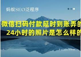 微信扫码付款延时到账弄的24小时的照片是怎么样的