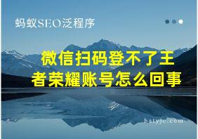 微信扫码登不了王者荣耀账号怎么回事