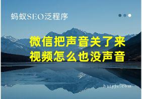 微信把声音关了来视频怎么也没声音