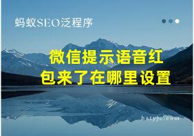 微信提示语音红包来了在哪里设置