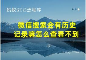 微信搜索会有历史记录嘛怎么查看不到