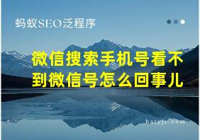 微信搜索手机号看不到微信号怎么回事儿