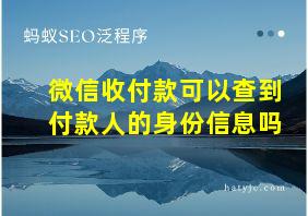 微信收付款可以查到付款人的身份信息吗