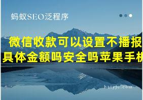 微信收款可以设置不播报具体金额吗安全吗苹果手机