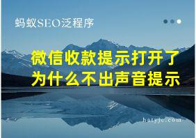 微信收款提示打开了为什么不出声音提示