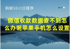 微信收款数据查不到怎么办呢苹果手机怎么设置