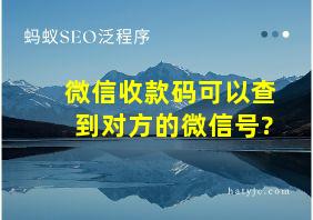 微信收款码可以查到对方的微信号?