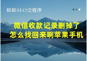 微信收款记录删掉了怎么找回来啊苹果手机