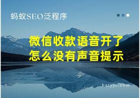 微信收款语音开了怎么没有声音提示