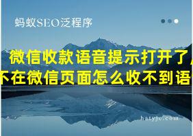 微信收款语音提示打开了,不在微信页面怎么收不到语音