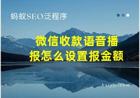 微信收款语音播报怎么设置报金额