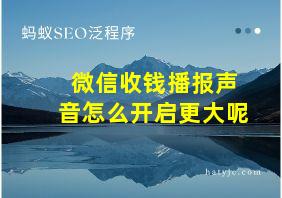 微信收钱播报声音怎么开启更大呢