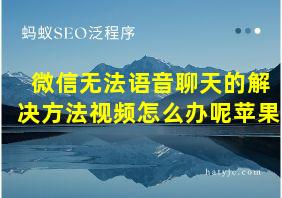 微信无法语音聊天的解决方法视频怎么办呢苹果