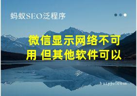 微信显示网络不可用 但其他软件可以