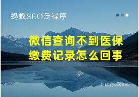 微信查询不到医保缴费记录怎么回事