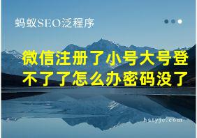 微信注册了小号大号登不了了怎么办密码没了