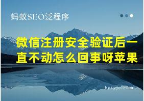 微信注册安全验证后一直不动怎么回事呀苹果