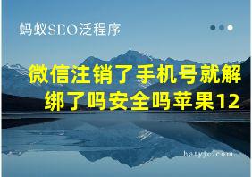 微信注销了手机号就解绑了吗安全吗苹果12