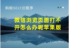 微信浏览页面打不开怎么办呢苹果版