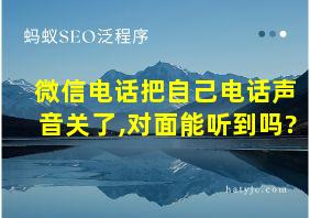 微信电话把自己电话声音关了,对面能听到吗?