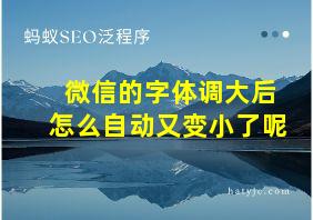 微信的字体调大后怎么自动又变小了呢