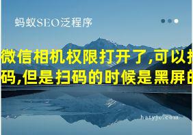 微信相机权限打开了,可以扫码,但是扫码的时候是黑屏的