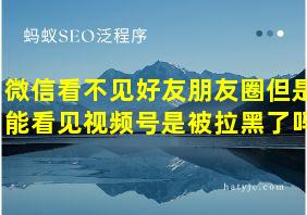 微信看不见好友朋友圈但是能看见视频号是被拉黑了吗