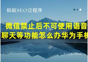 微信禁止后不可使用语音聊天等功能怎么办华为手机