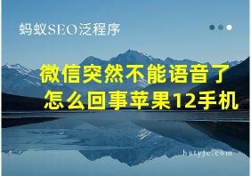 微信突然不能语音了怎么回事苹果12手机