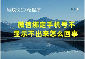 微信绑定手机号不显示不出来怎么回事