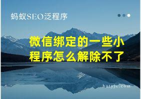 微信绑定的一些小程序怎么解除不了