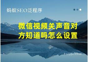 微信视频关声音对方知道吗怎么设置