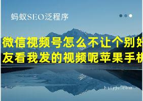 微信视频号怎么不让个别好友看我发的视频呢苹果手机