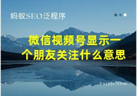 微信视频号显示一个朋友关注什么意思