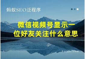 微信视频号显示一位好友关注什么意思