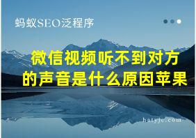 微信视频听不到对方的声音是什么原因苹果