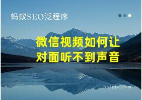 微信视频如何让对面听不到声音