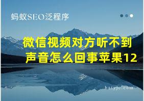 微信视频对方听不到声音怎么回事苹果12