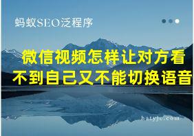 微信视频怎样让对方看不到自己又不能切换语音