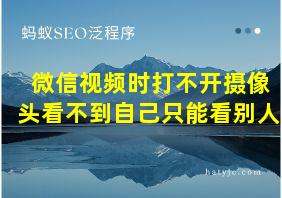 微信视频时打不开摄像头看不到自己只能看别人