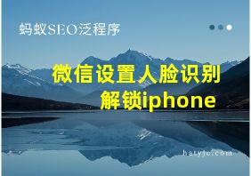 微信设置人脸识别解锁iphone