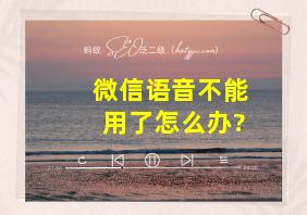 微信语音不能用了怎么办?