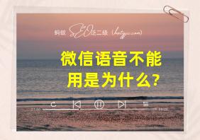 微信语音不能用是为什么?